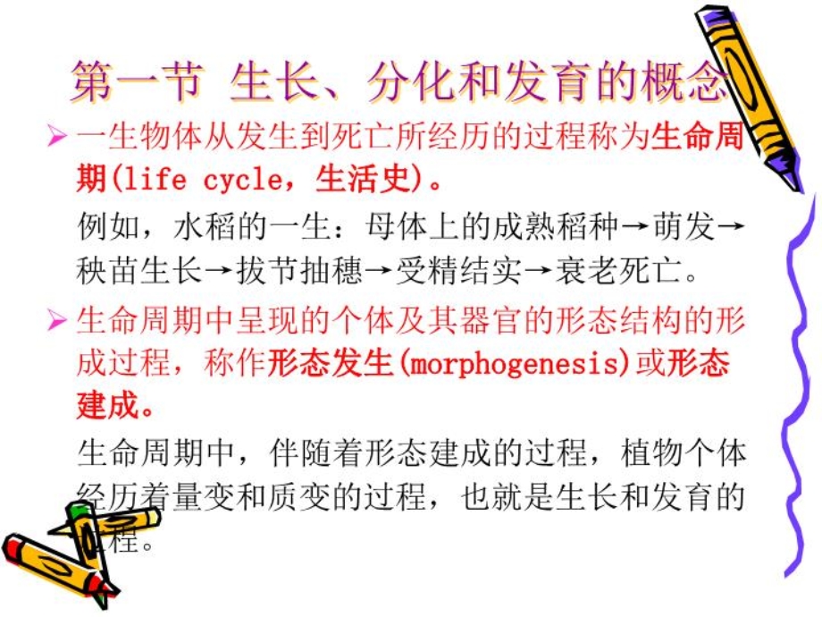 植物生长生理PPT课件.ppt_第2页