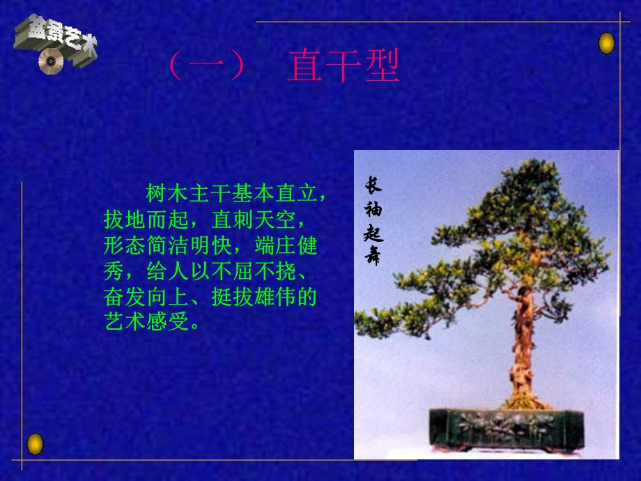 树桩盆景造型ppt课件.ppt_第3页