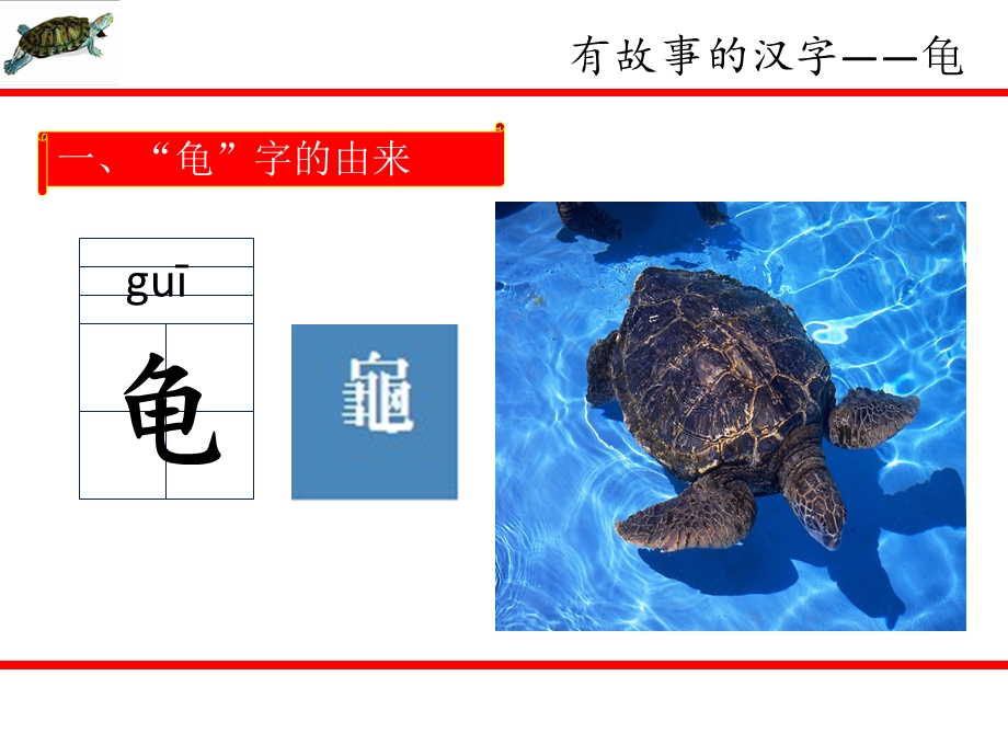 有故事的汉字(龟)ppt课件.ppt_第2页