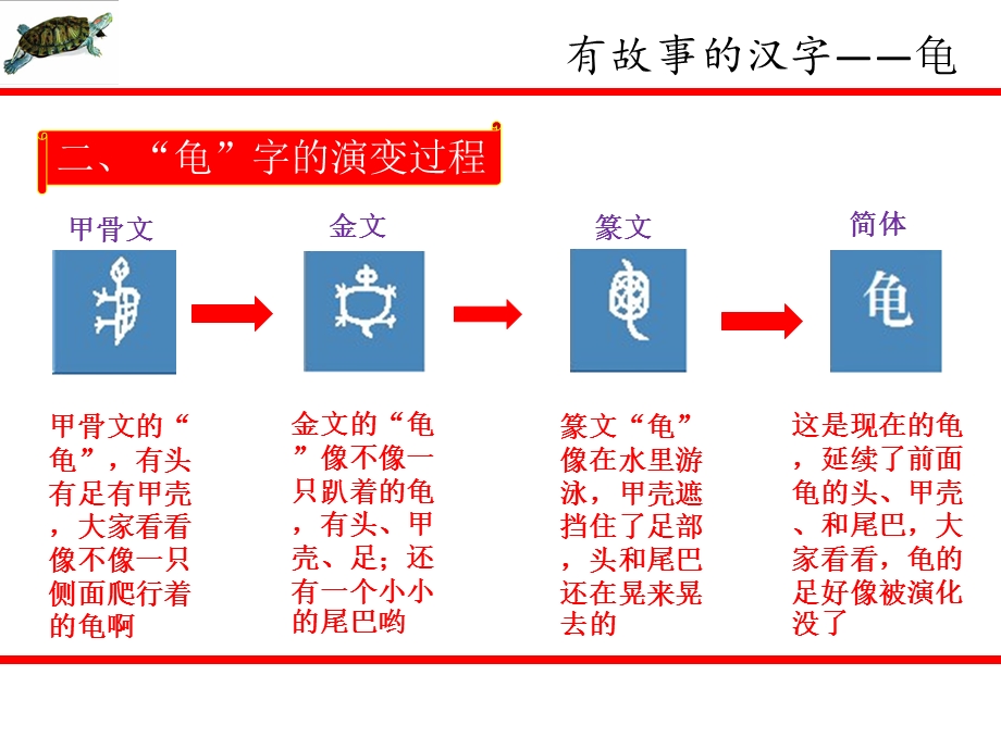 有故事的汉字(龟)ppt课件.ppt_第3页