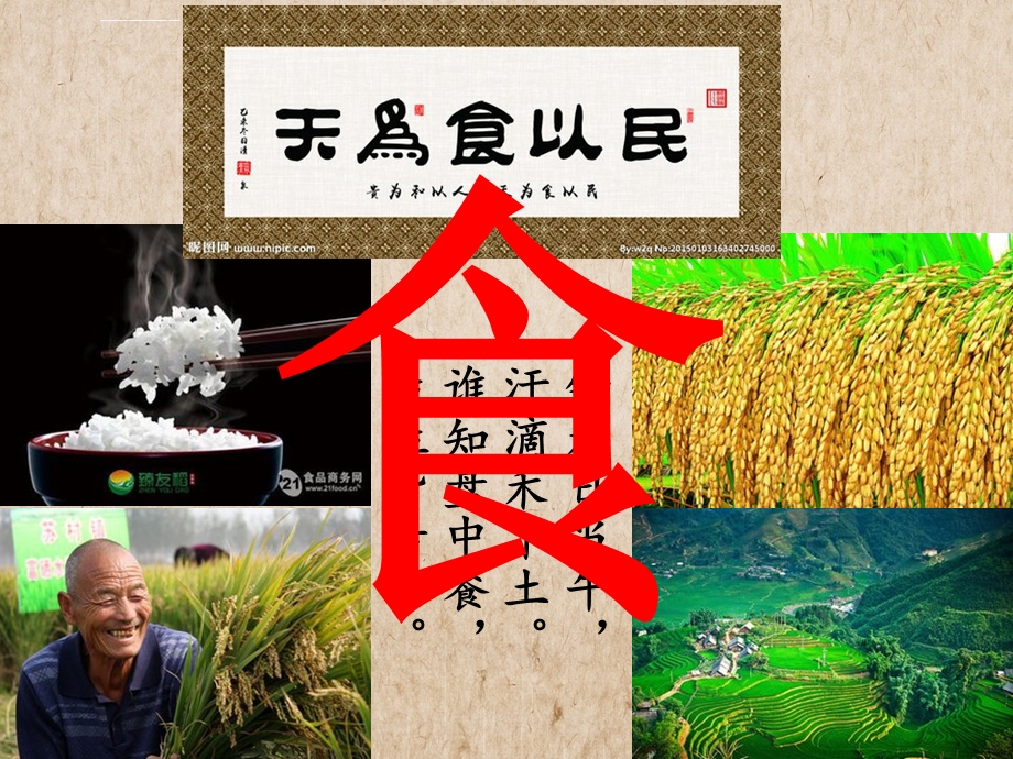 植物种子的萌发(正式)ppt课件.ppt_第2页