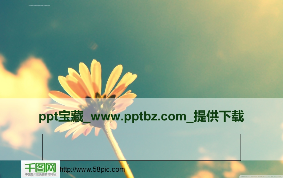 梦幻色彩菊花ppt模板课件.ppt_第1页