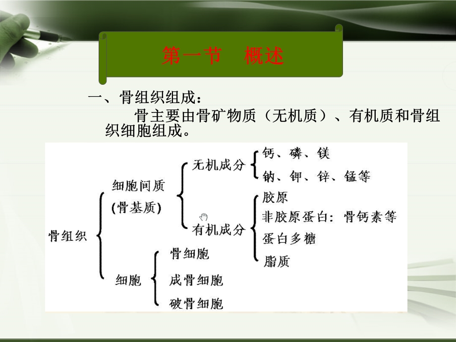 生化骨代谢疾病 图文ppt课件.ppt_第3页