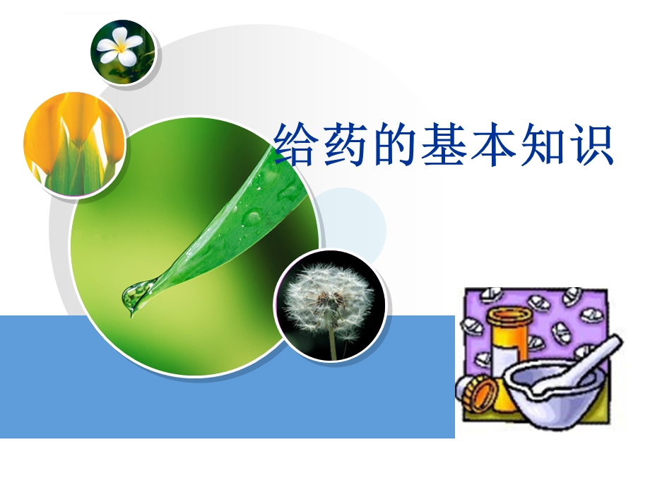 给药的基本知识ppt课件.ppt_第1页