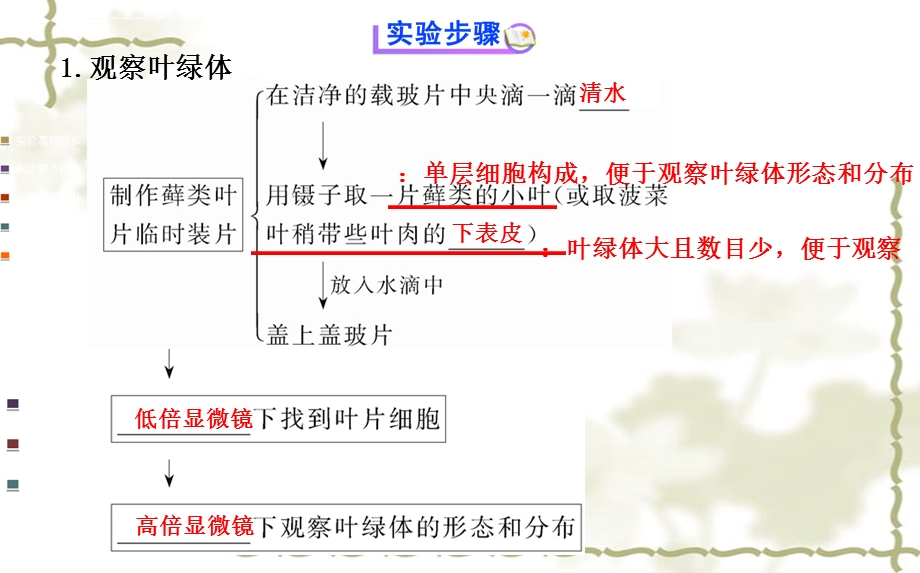 用高倍显微镜观察叶绿体和线粒体ppt课件.ppt_第3页