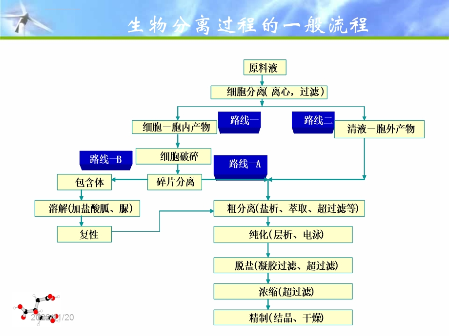 第十一章工业结晶技术ppt课件.ppt_第1页