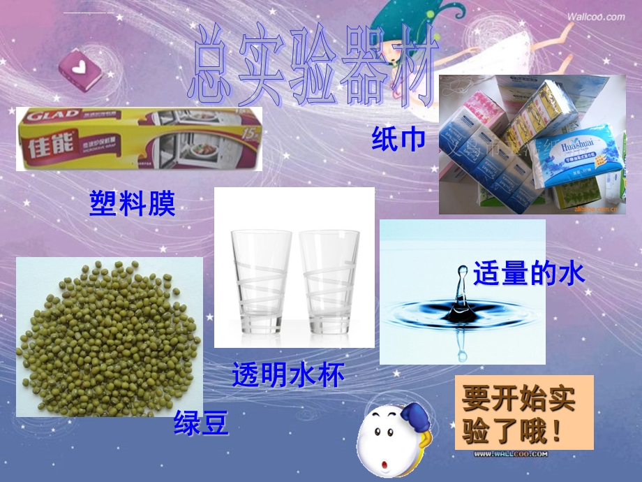 种子萌发的条件——探究实验ppt课件.ppt_第3页