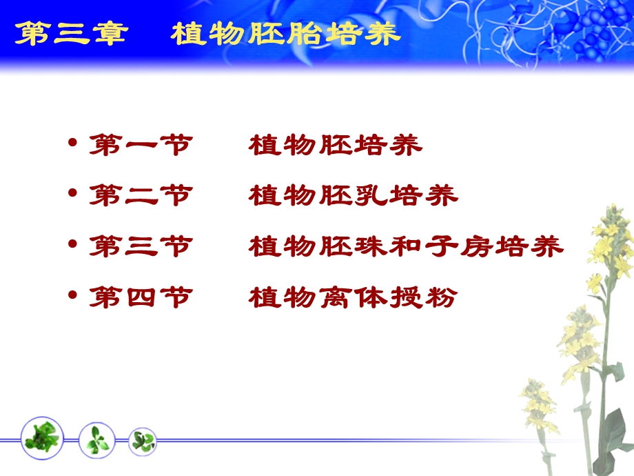 第3章植物胚培养ppt课件.ppt_第1页