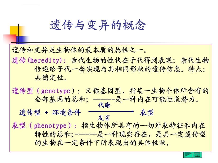 第七章微生物的遗传变异与育种ppt课件.ppt_第3页