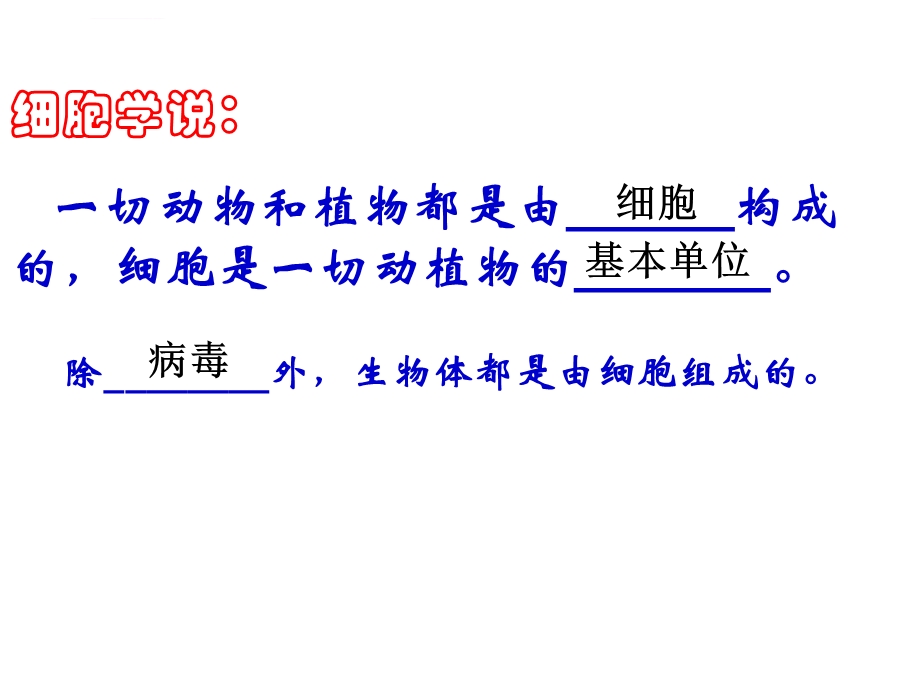 细胞的结构和功能ppt课件.ppt_第3页