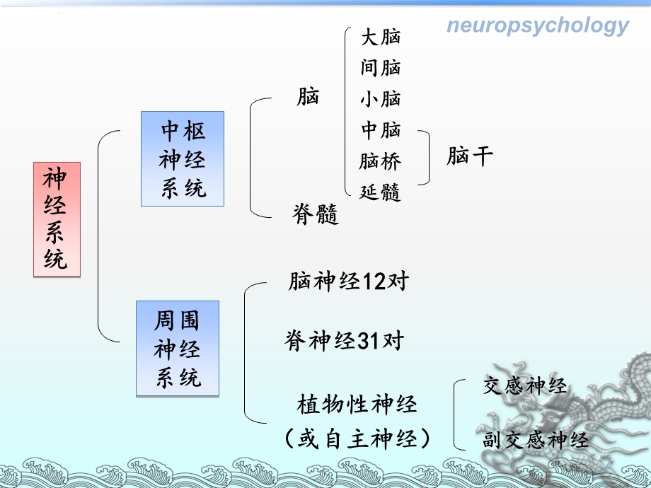 第三章神经系统解剖与生理ppt课件.ppt_第2页