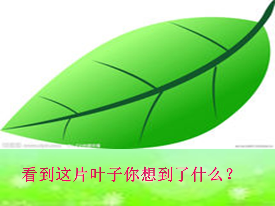 绘本一片叶子落下来ppt课件.ppt_第1页