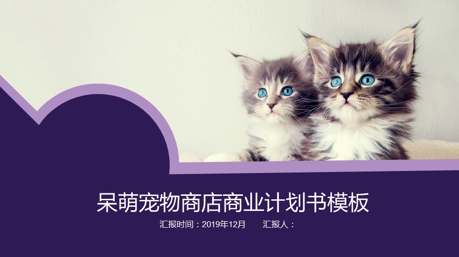 紫色呆萌宠物商店商业计划书ppt模板课件.pptx_第1页