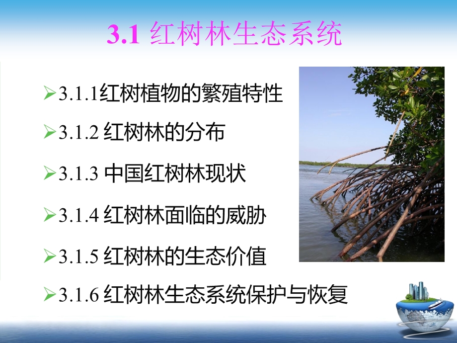 第三章典型的海岸带生态系统ppt课件.ppt_第2页