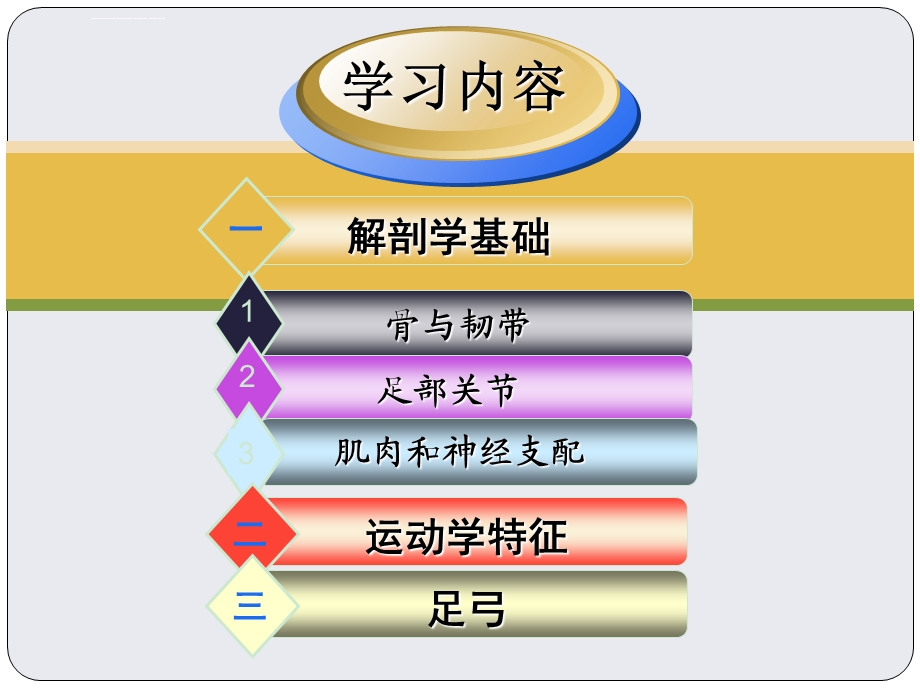 第二章第三节 关节运动学(九、足和足弓)ppt课件.ppt_第3页