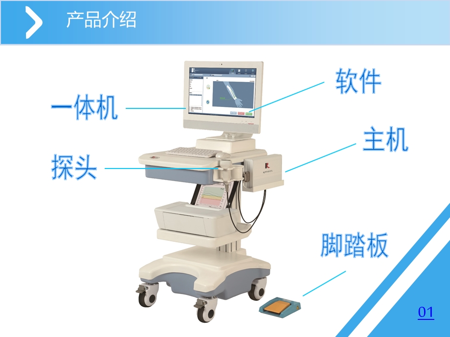 超声骨密度ppt课件.ppt_第3页