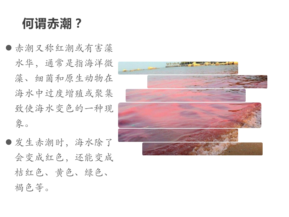 赤潮咸潮与海水倒灌ppt课件.pptx_第3页