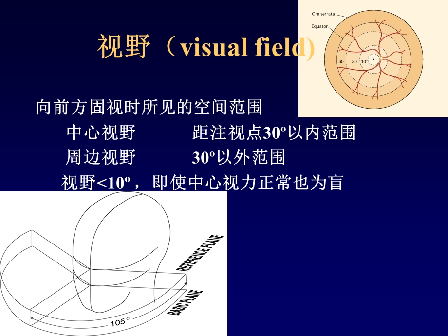 视野计及其检查判读方法ppt课件.ppt_第2页