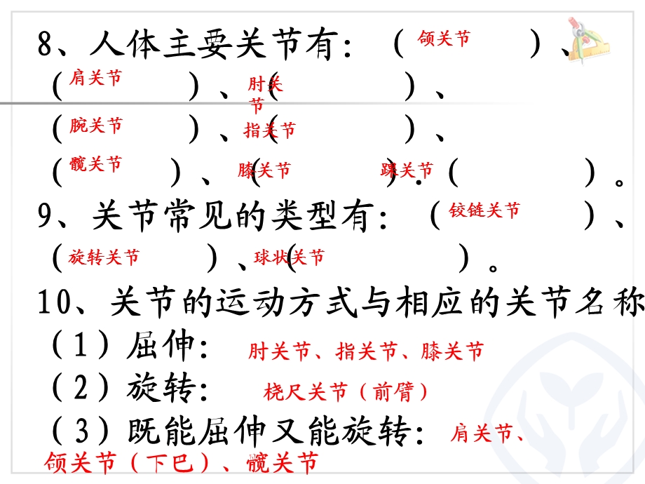 苏教版四年级下册科学复习ppt课件.pptx_第2页