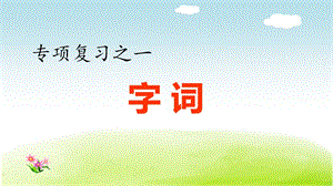 部编版(人教)小学语文六年级下册期末复习1.专项复习之一 字词专项ppt课件.ppt