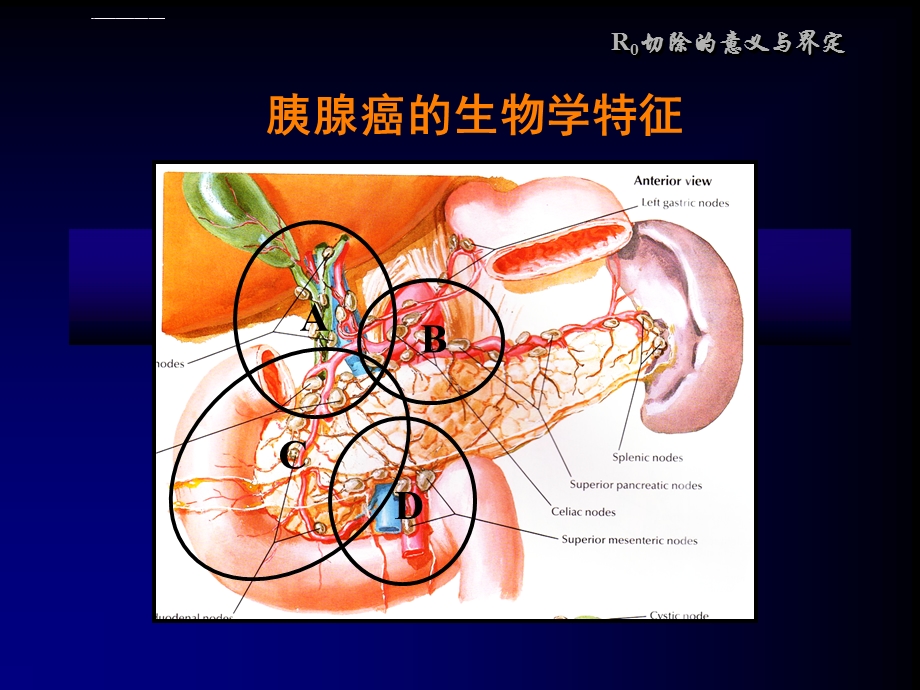 解剖性胰十二指肠切除术(中文)ppt课件.ppt_第2页