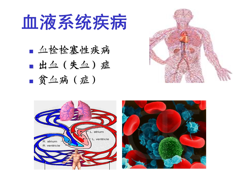 药理学PPT课件作用于血液及造血系统的药物.ppt_第2页