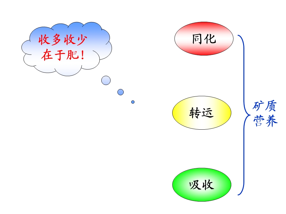 第三章植物的矿质营养ppt课件.ppt_第1页