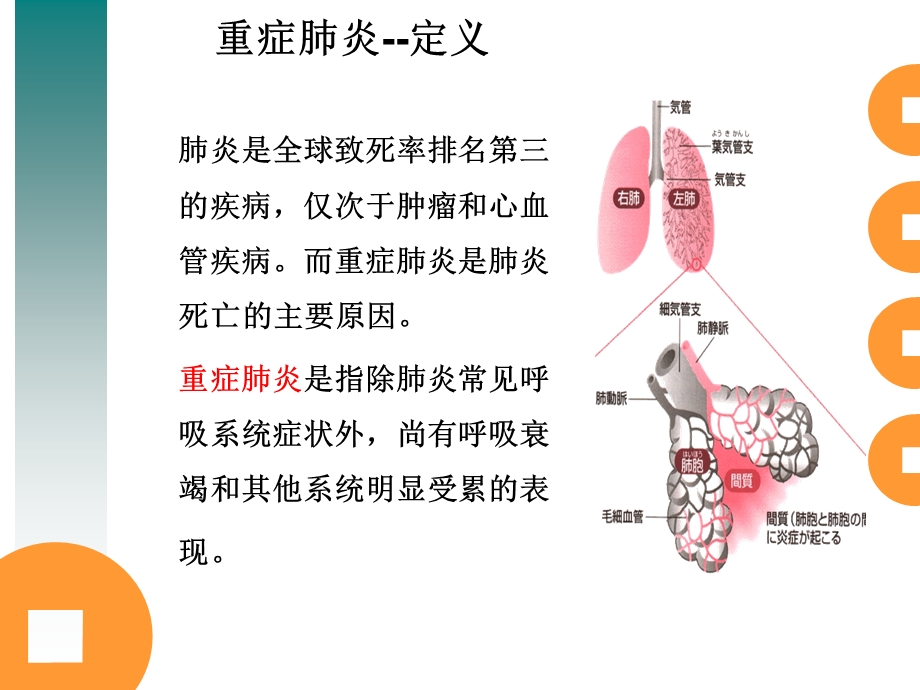 重症肺炎护理个案ppt课件.ppt_第3页