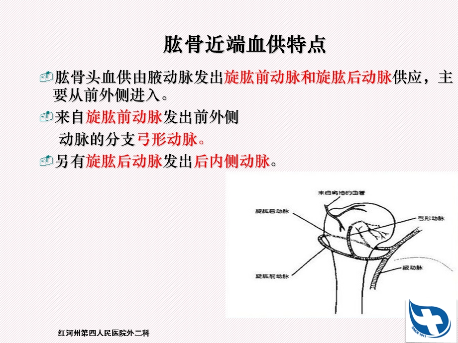 肱骨近端骨折分型及治疗ppt课件.ppt_第3页