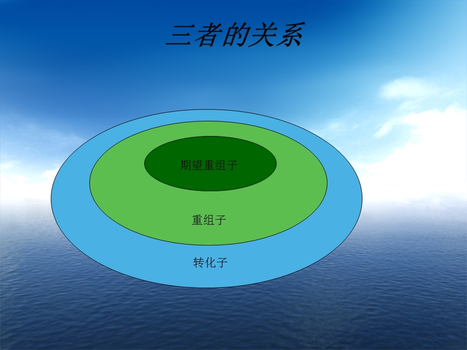 转化子的筛选与重组子的鉴定ppt课件.ppt_第3页