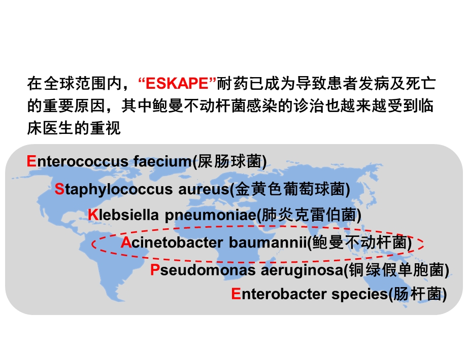 鲍曼不动杆菌专家共识ppt课件.ppt_第2页