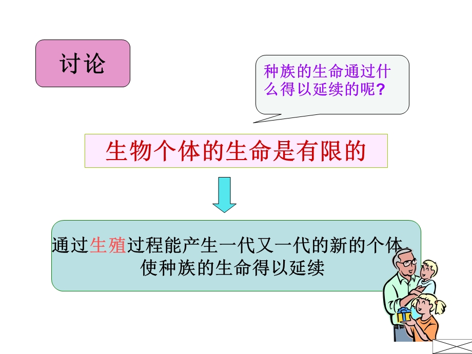 苏教版七年级下学期生物 精卵结合孕育新的生命ppt课件.ppt_第3页