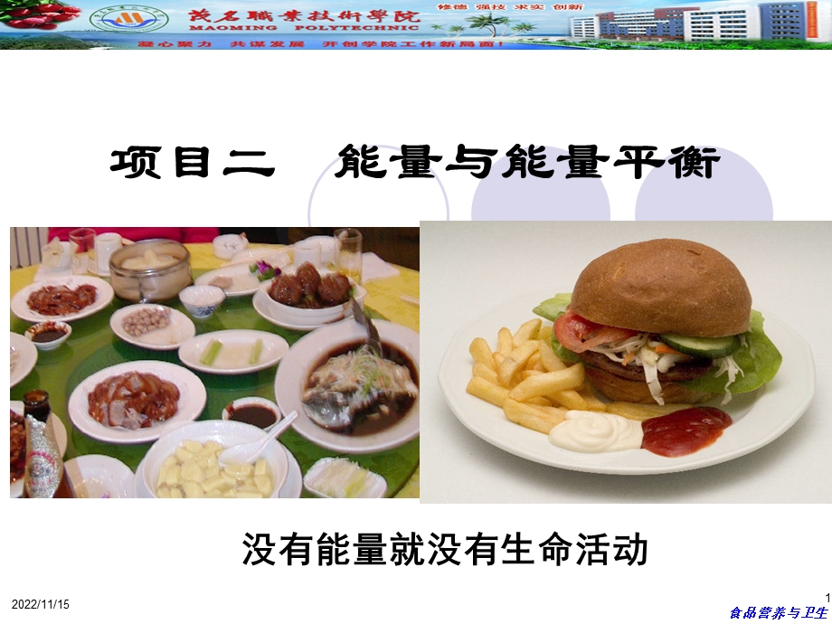 项目2能量与能量平衡ppt课件.ppt_第1页