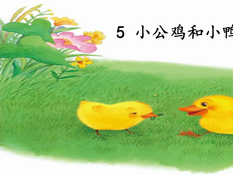 一下《小公鸡和小鸭子》ppt课件6完美版.pptx_第2页