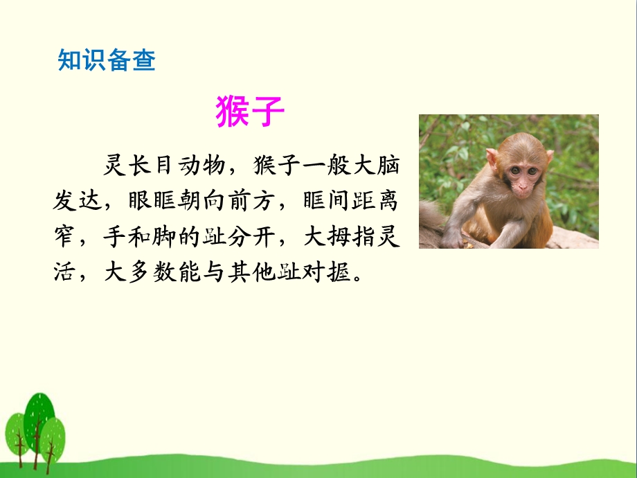 《小猴子下山》ppt优秀课件.ppt_第3页