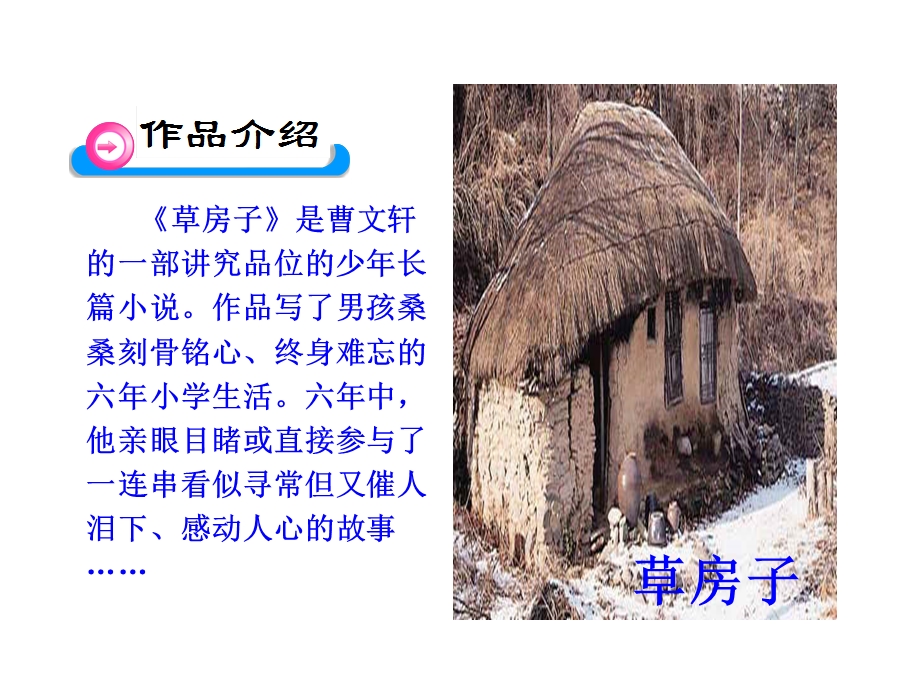 《孤独之旅》ppt课件 公开课.ppt_第3页