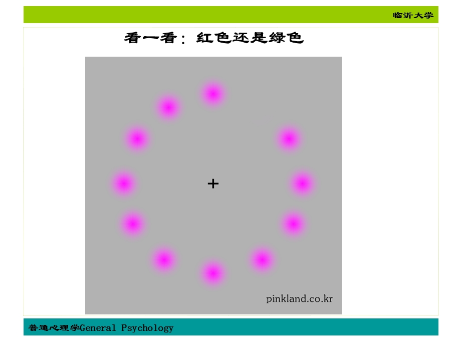 《普通心理学》第一章 心理学概述ppt课件.ppt_第3页