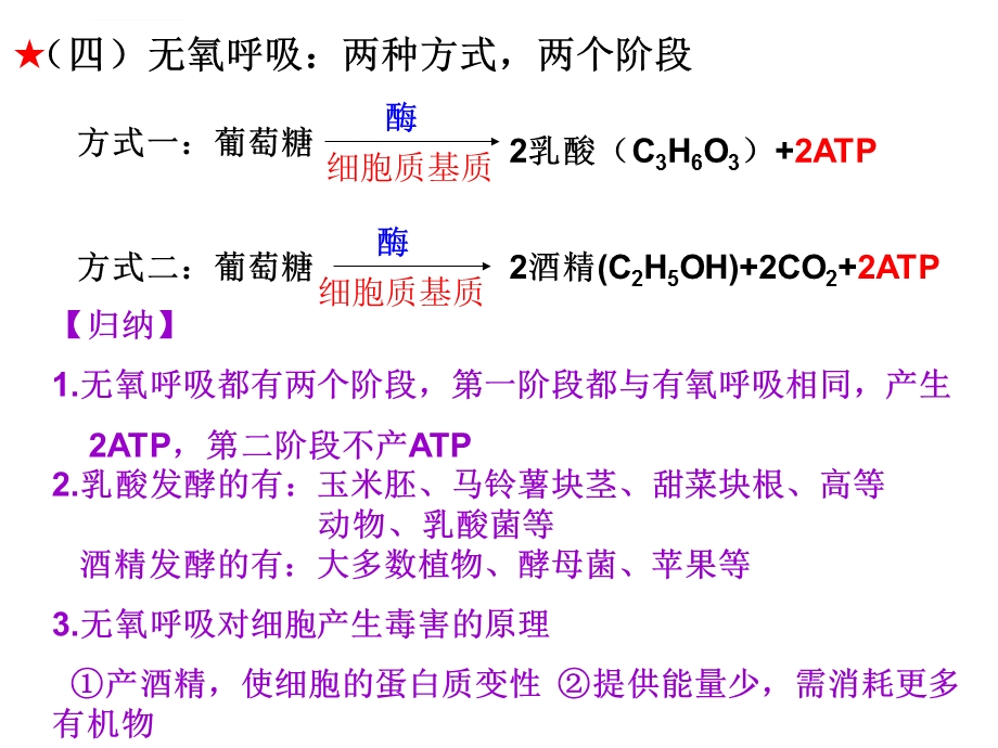 一轮复习ppt课件——呼吸作用.ppt_第3页