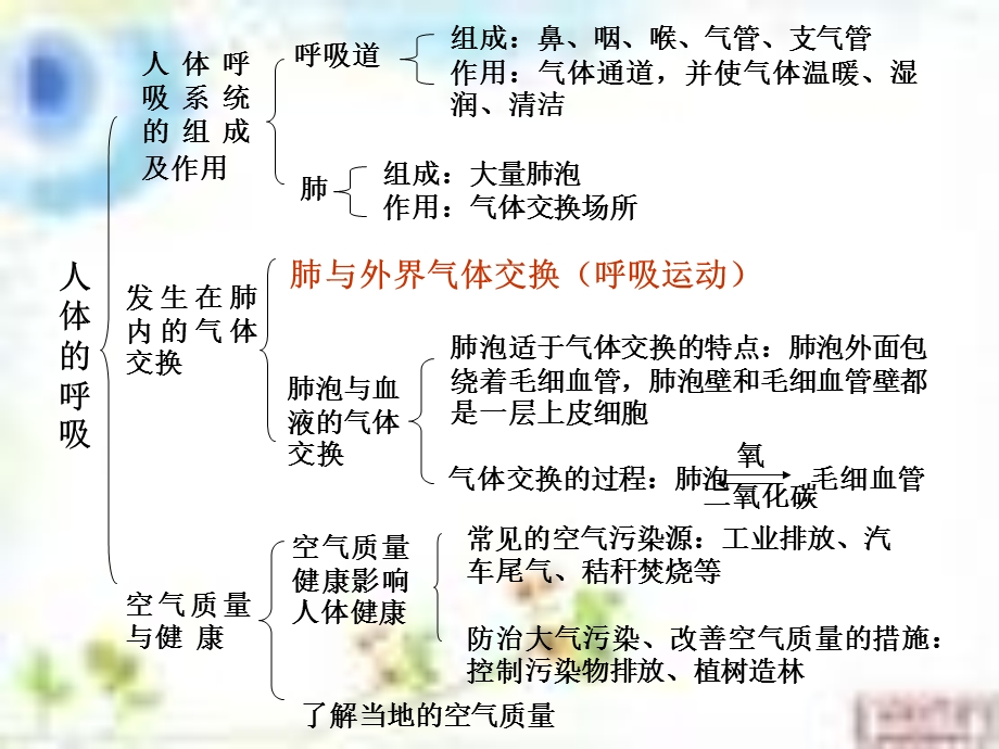 人教版七年级生物人体的呼吸复习ppt课件.ppt_第2页