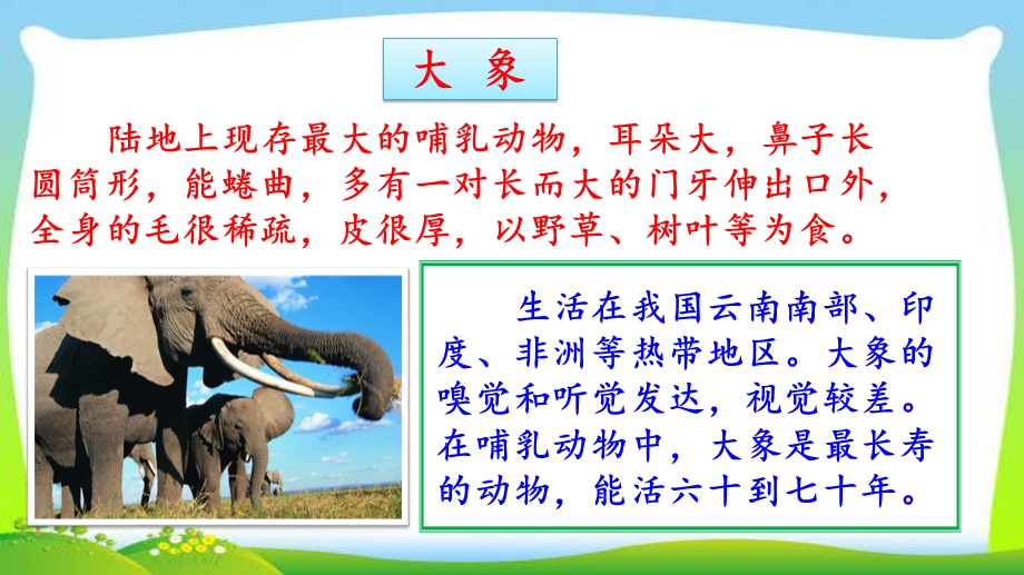 二年级语文下册—19 大象的耳朵ppt课件.pptx_第2页