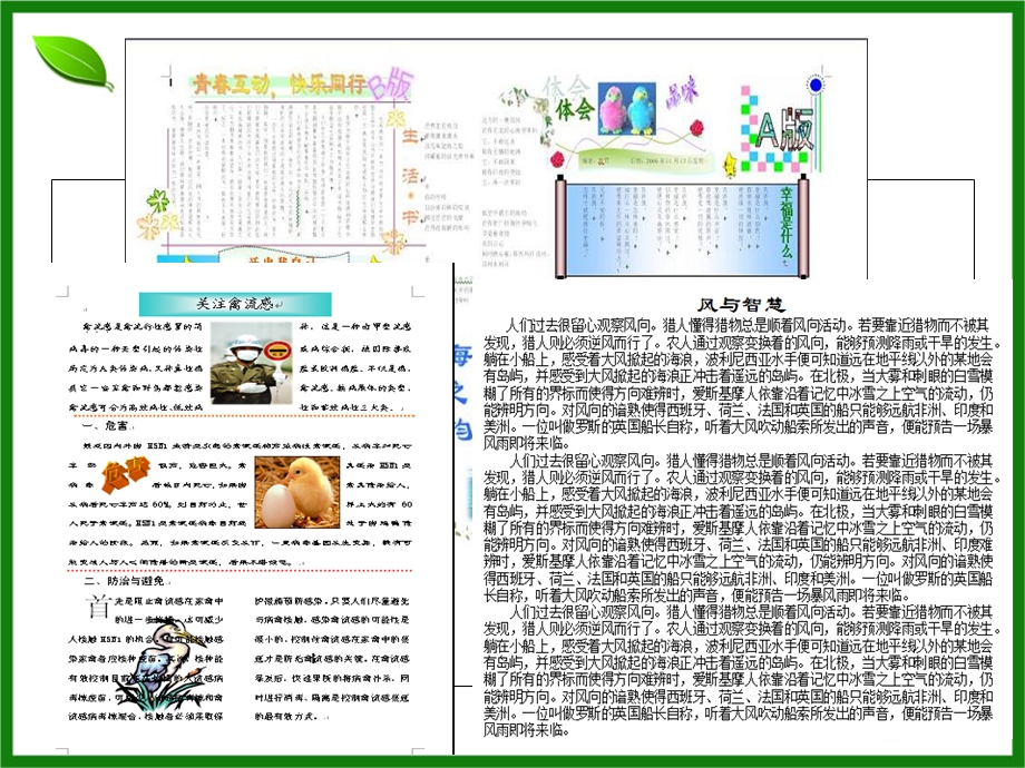 公开课《图文混排》ppt课件.ppt_第2页