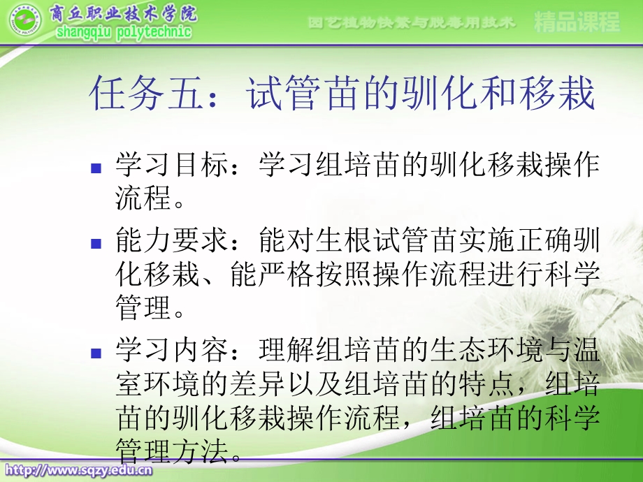 任务五：试管苗的驯化与移栽ppt课件.ppt_第2页