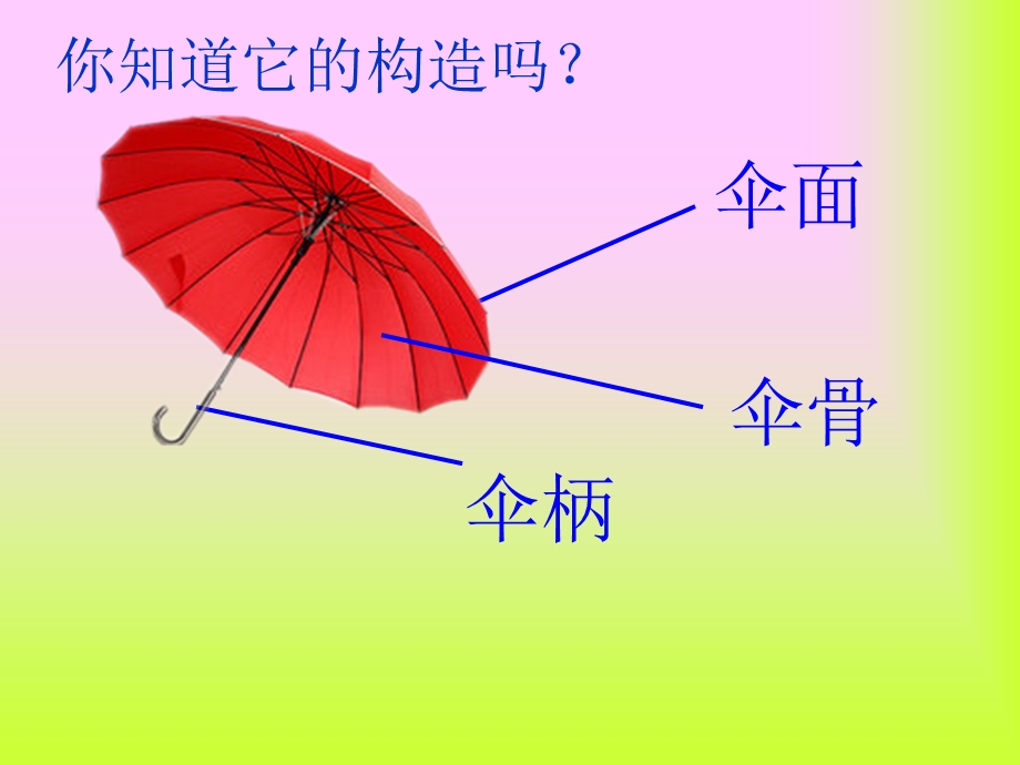 中班科学：认识蘑菇ppt课件.ppt_第3页