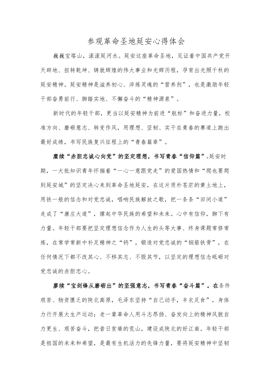 参观革命圣地延安心得体会.docx_第1页