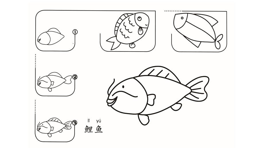 简笔画各种各样的水生动物课件.pptx_第1页