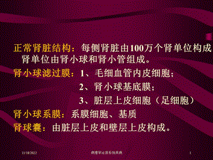 病理学泌尿系统疾病培训课件.ppt