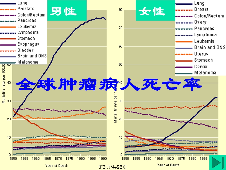 病理课件全面版.pptx_第3页