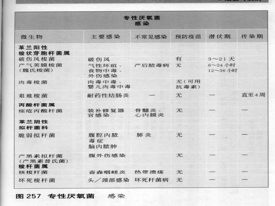 病原性真菌检验临床微生物学课件.ppt_第3页