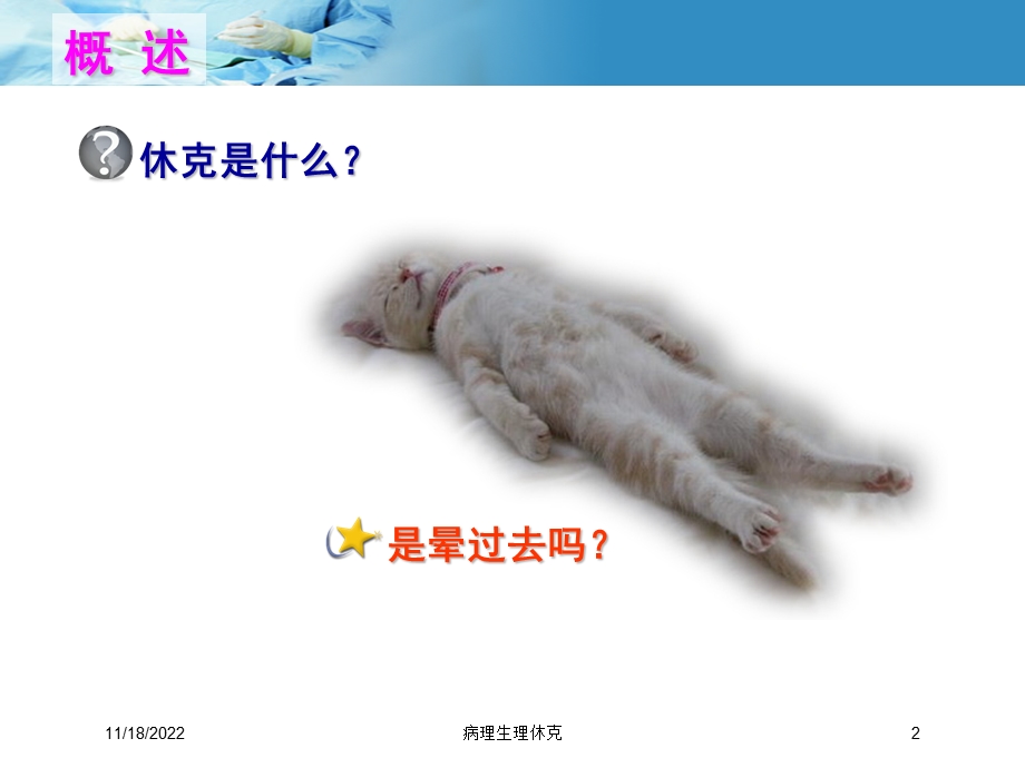 病理生理休克培训课件.ppt_第2页