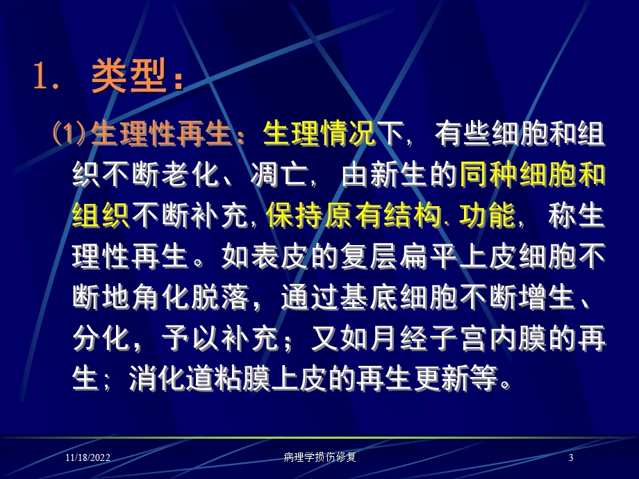 病理学损伤修复培训课件.ppt_第3页